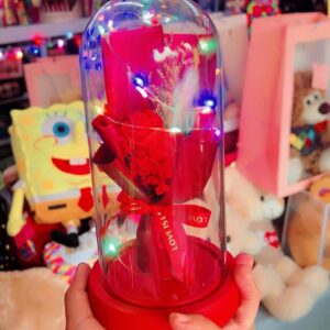CUPULA ROSA MUSICAL CON LUZ